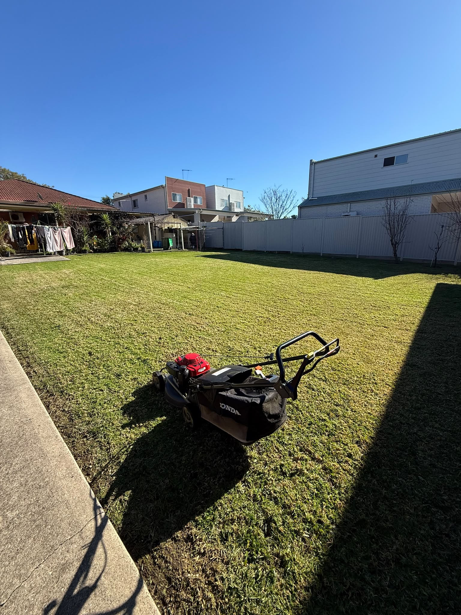 Professional garden care and maintenance