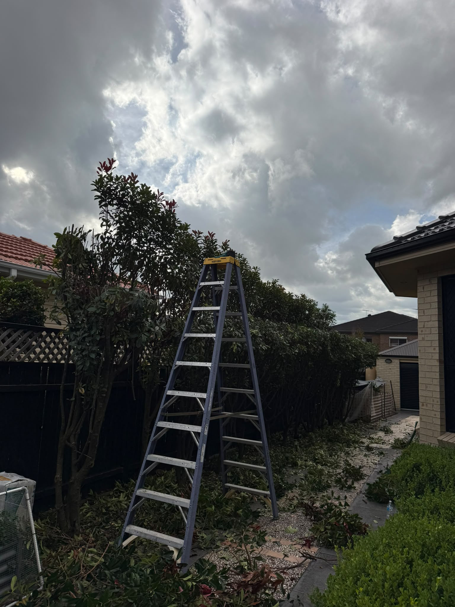 Garden transformation before and after