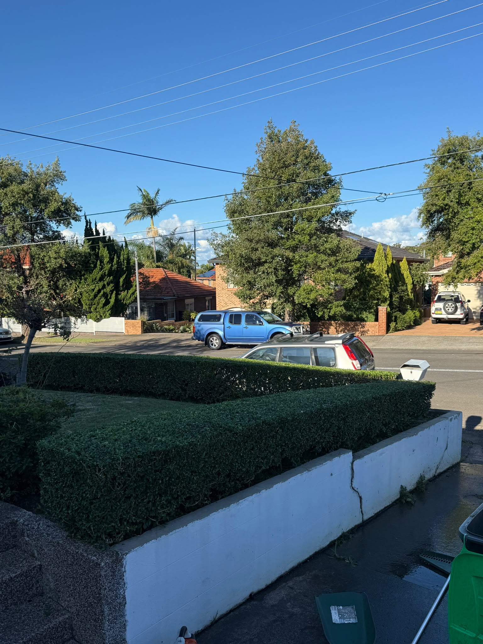 Garden maintenance and professional gardening