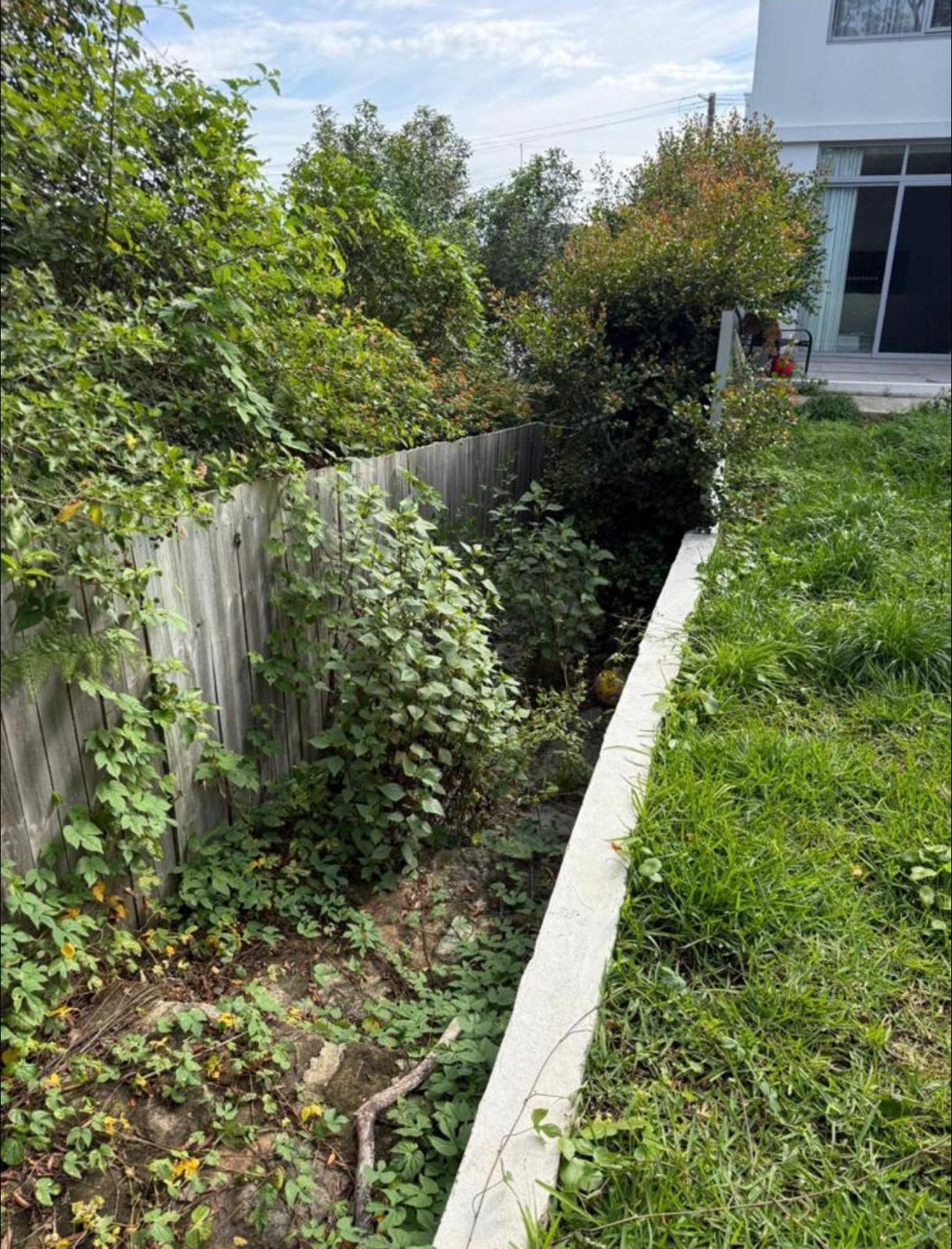 Before garden project