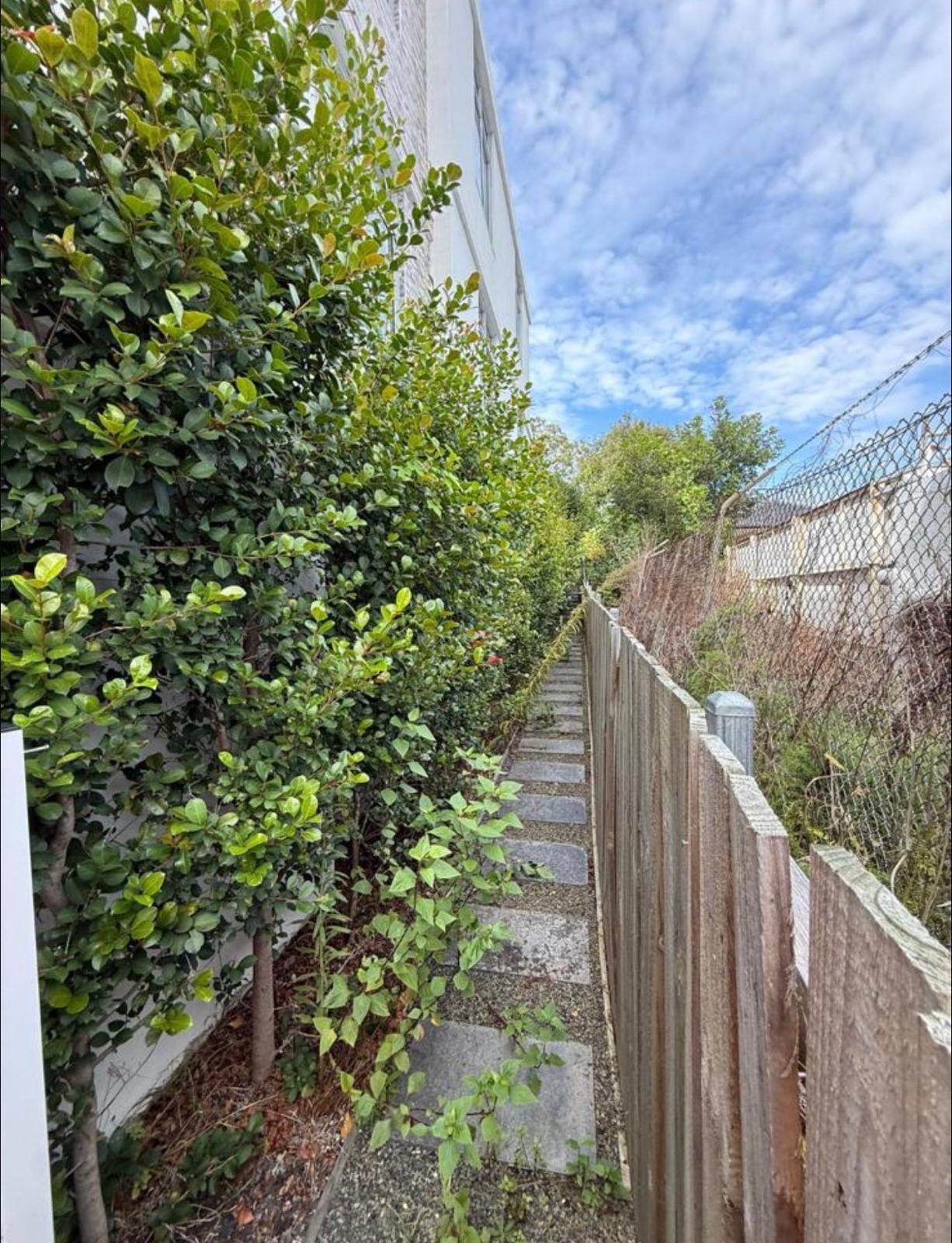 Before garden project
