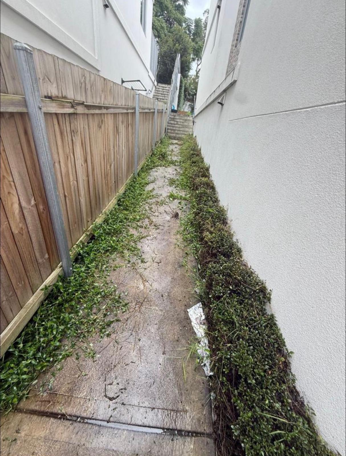 Before garden project