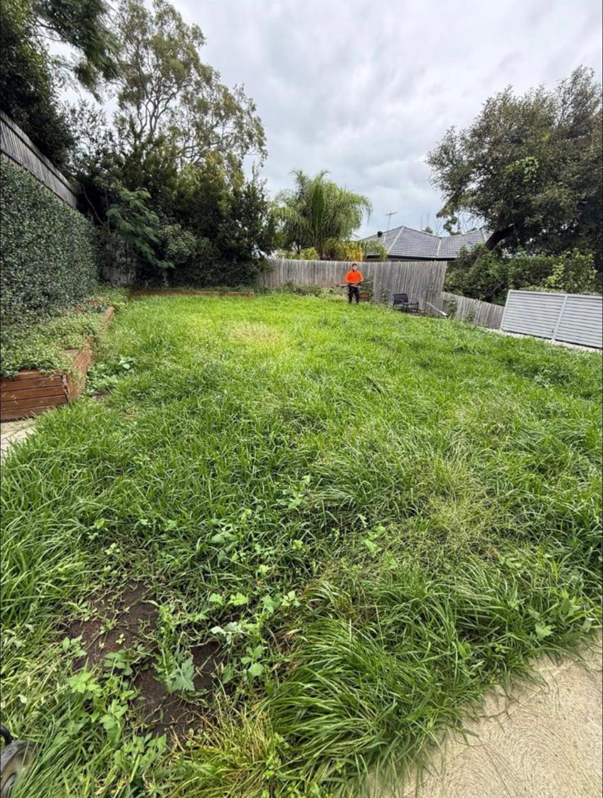 Before garden project