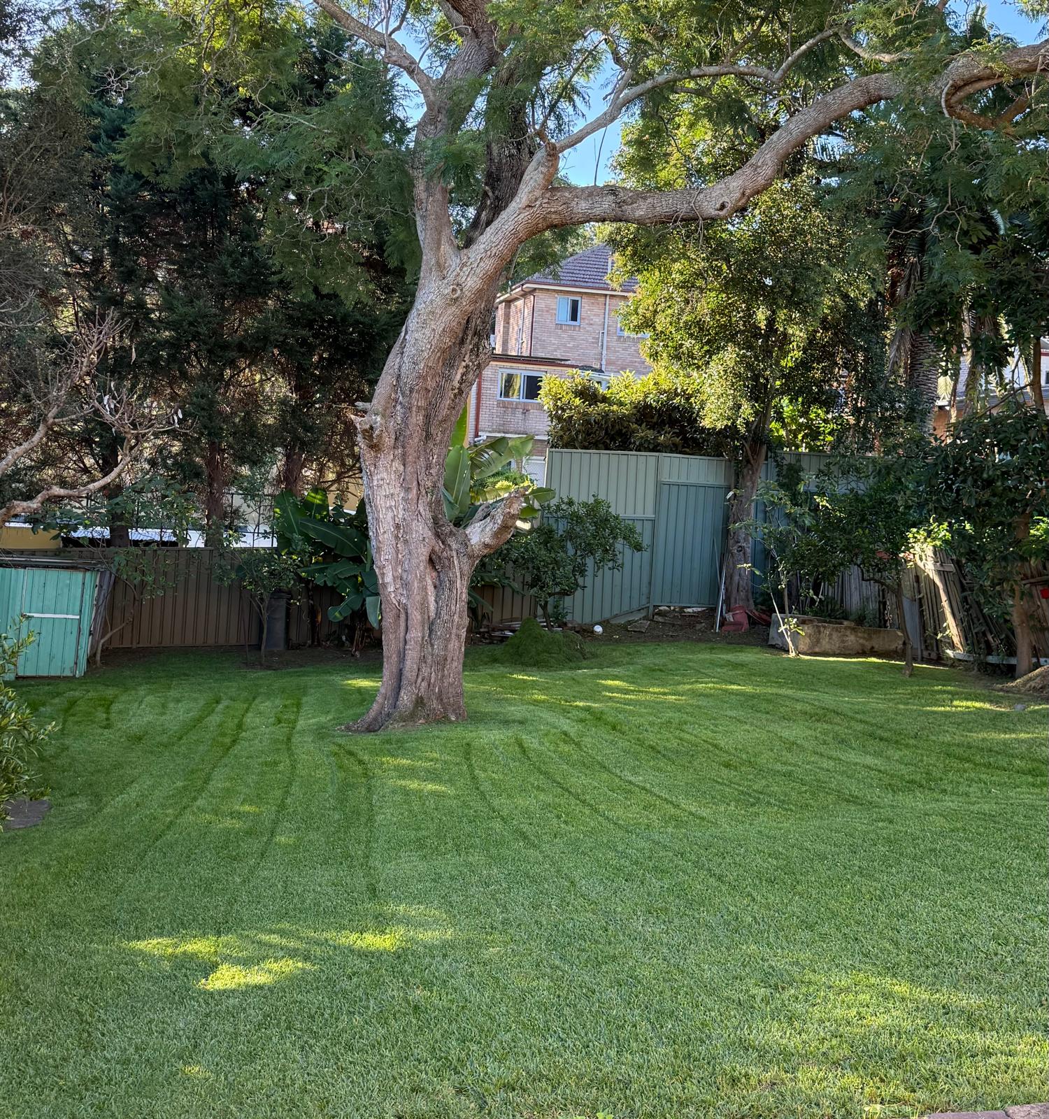 Professional lawn maintenance and garden service