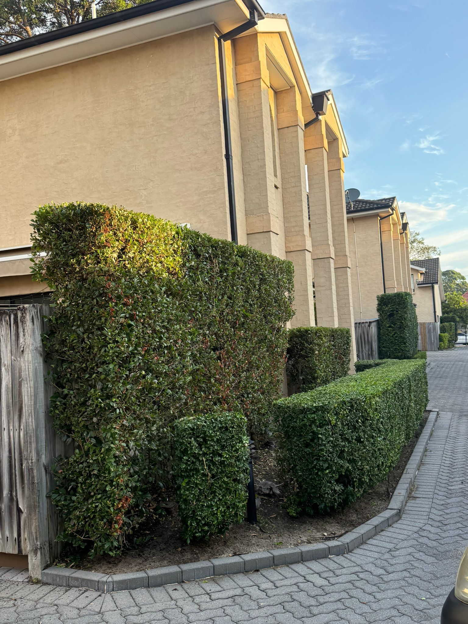 After garden project