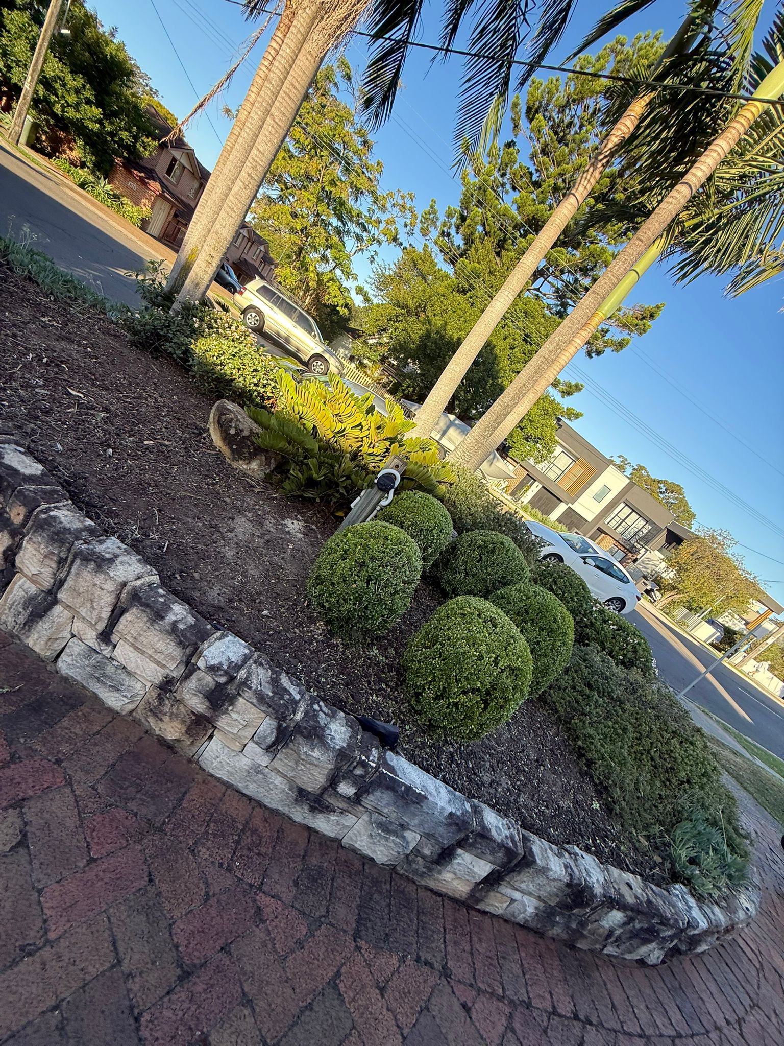After garden project